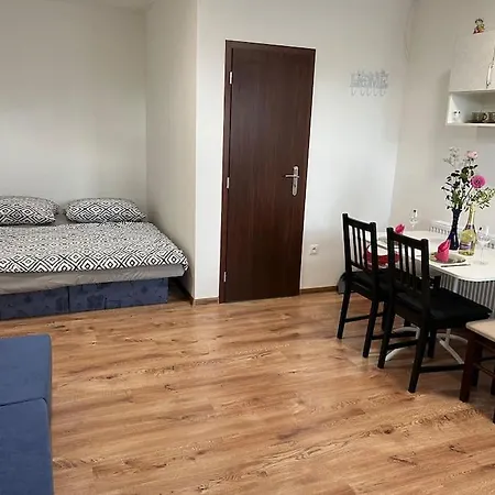 Bekivi Apartmany Dunajská Streda Exterior photo